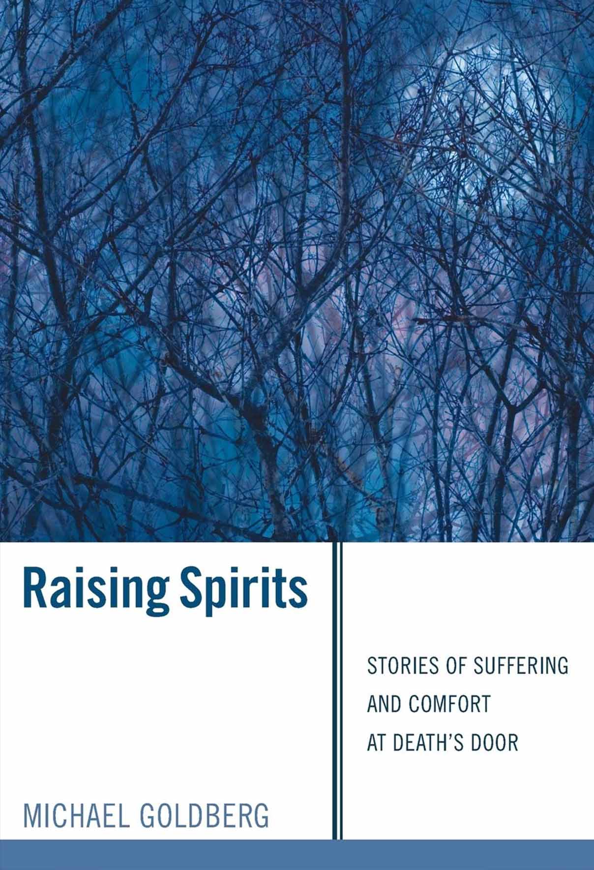 Raising Spirits Michael Goldberg